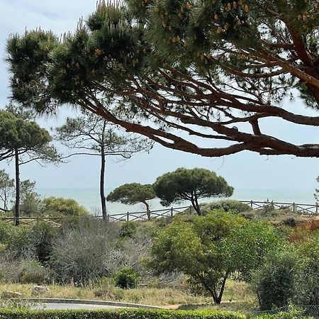 Praia da Falésia Alfa Mar Albufeira Olhos de Agua  Extérieur photo