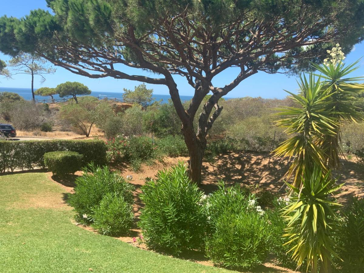 Praia da Falésia Alfa Mar Albufeira Olhos de Agua  Extérieur photo
